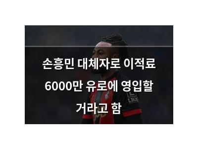 손흥민 대체자로 이적료 6000만 유로에 영입할 거라고 함
