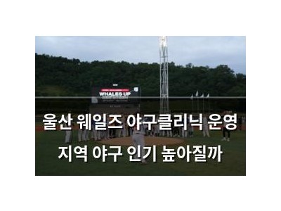 울산 웨일즈 야구클리닉 운영 지역 야구 인기 높아질까