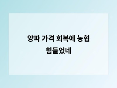 농협의 노력으로 양파 가격이 회복되자 농가와 소비자가 각각 반응