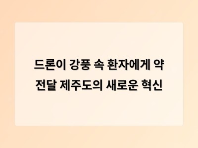 드론으로 긴급 의약품 전달 성공 제주도 사례가 보여주는 미래 의료 혁신